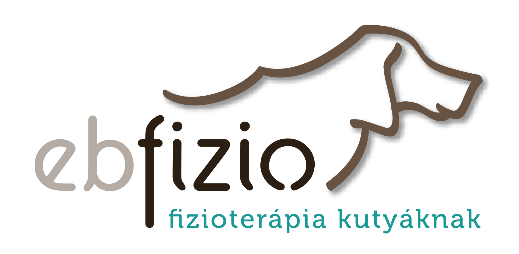 ebfizio